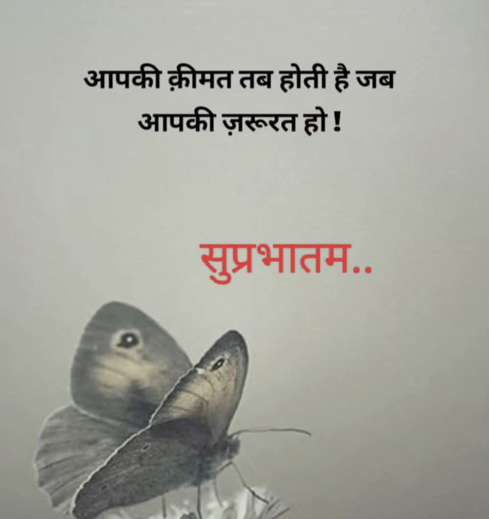 Arvindkuma43649's tweet photo. शुभप्रभात आदरणीय मित्रों आपका दिन शुभ हो आप सभी को मेरा प्रणाम नमस्कार🙏जय माँ लक्ष्मी 🌷 https://t.co/VjJ4mXUSQn
