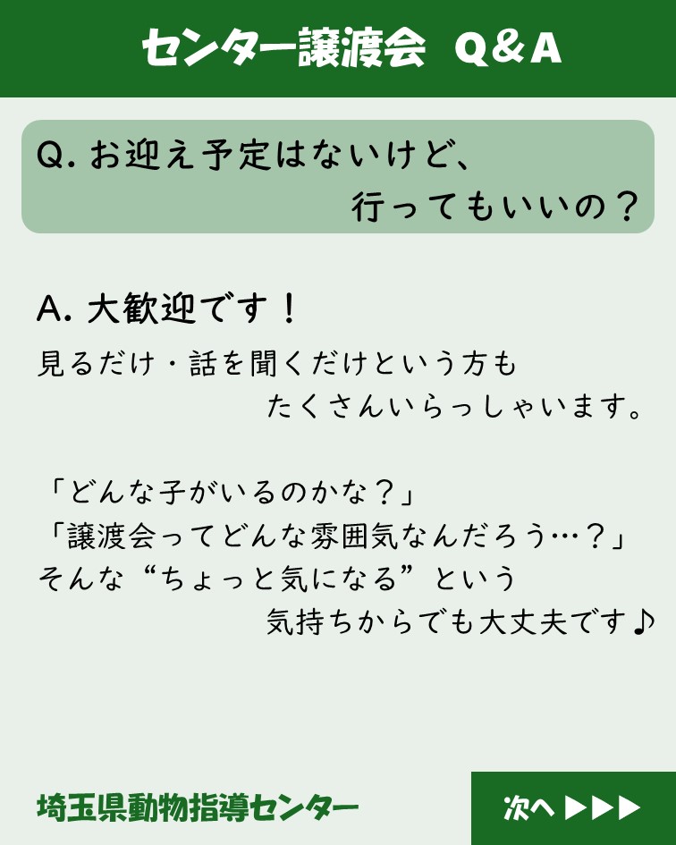 pref_saitama's tweet photo. 🐱#譲渡会 のお知らせ🐱

猫だけの臨時譲渡会を開催します🍀

📅日時：7/4(土)11時～13時
📍場所：動物指導センター本所（熊谷市板井123）
🆓予約不要・入場無料😊

新しい家族との出会いを待つ猫たちに、ぜひ会いに来てください🐾

↓詳細はこちら
https://t.co/s4wIzVSIQ4 https://t.co/d8S9MCeuR1