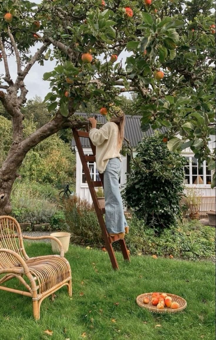 peachlle's tweet photo. o passeio de tarde foi diferente hoje ✨️🍊 https://t.co/yGXgnv2sTT