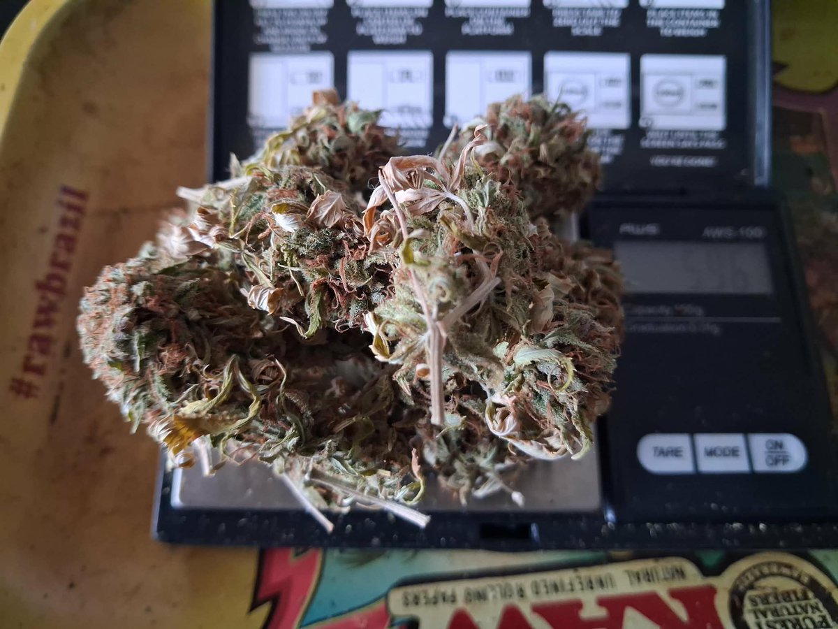 vFNQer's tweet photo. i did it again.

6 g of homegrown into 60 mls of rectified alcohol.

alcohol is a solution. https://t.co/Cq9ddzliaf