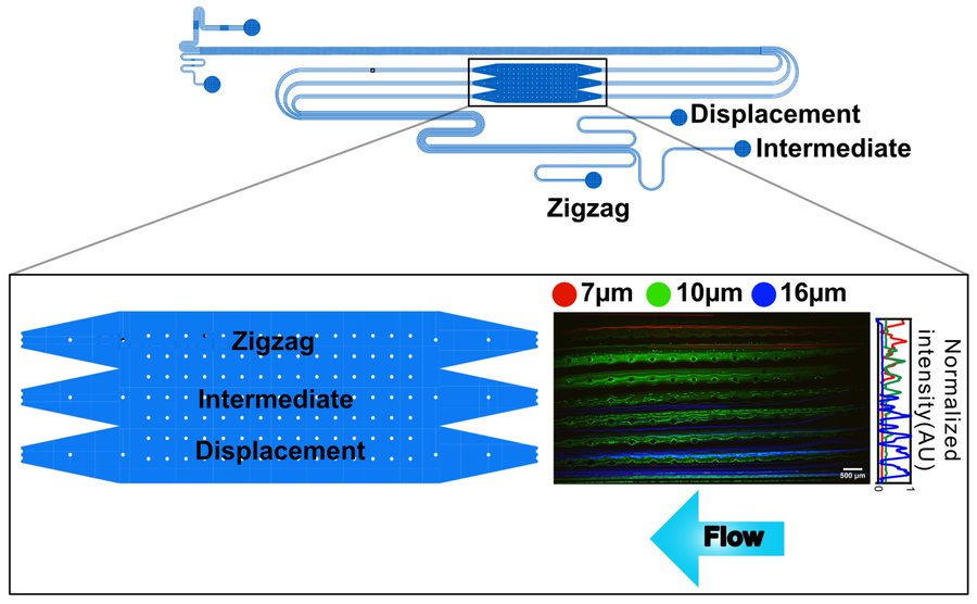 MDPIEngineering's tweet photo. 🌟 Feature Paper | Editor’s Choice 🌟
#Micromachines #OpenAccess
📄 Using Bayes’ Rule for Analysis of #Microfluidic Particle and Cluster #Sorting
by Elham Akbari, et al. from @lunduniversity
🔗 Full text free access: https://t.co/ytWizimYZY
#BayesRule https://t.co/zsmax1ZN8u