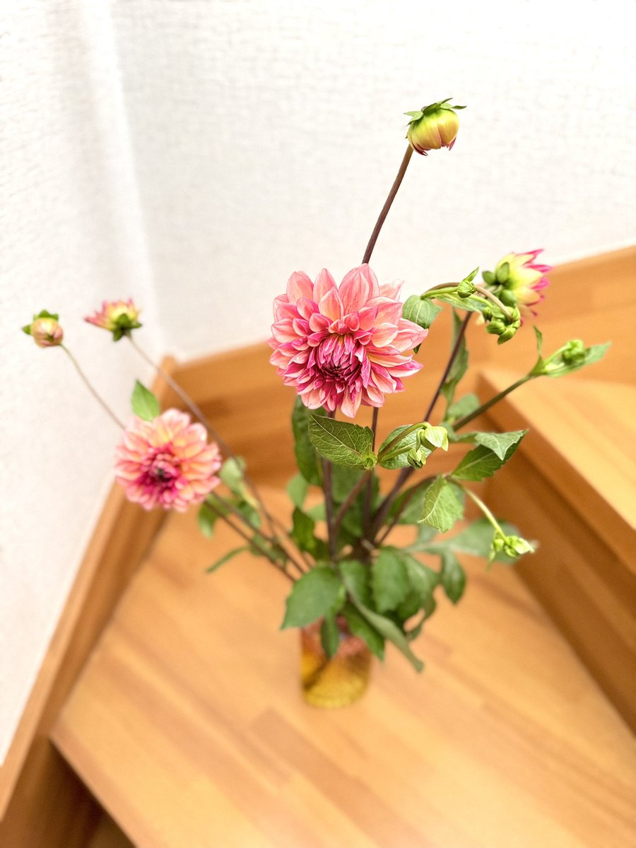 Yu_riHyoR's tweet photo. 道の駅とかで出会ったお花🫰

フリーダムに活けてます😉 https://t.co/cmgRe0C01v