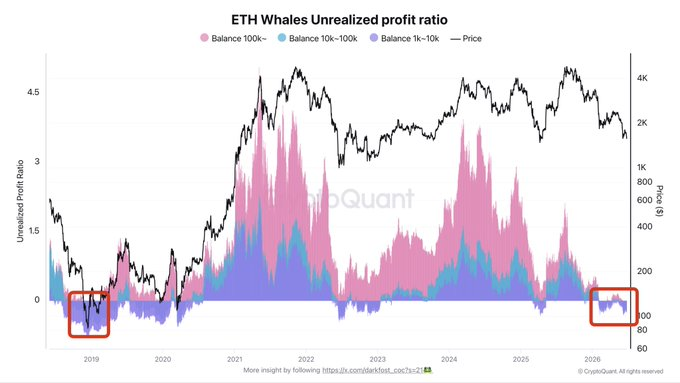 PANewsCN's tweet photo. 😐ETH 巨鲸整体陷入亏损，为 2019 年以来首次

据 CryptoQuant 分析师 Darkfost，当前持有 1,000 枚 ETH 以上的三类巨鲸群体未实现利润比率均为负值，这是 2019 年以来首次出现该情形——即使在 2022 年熊市中，最大巨鲸仍保持盈利。

该状态已持续数周。

Darkfost 指出，历史上巨鲸信念受考验时往往同步形成底部区域，他认为以太坊目前展现出较强韧性。