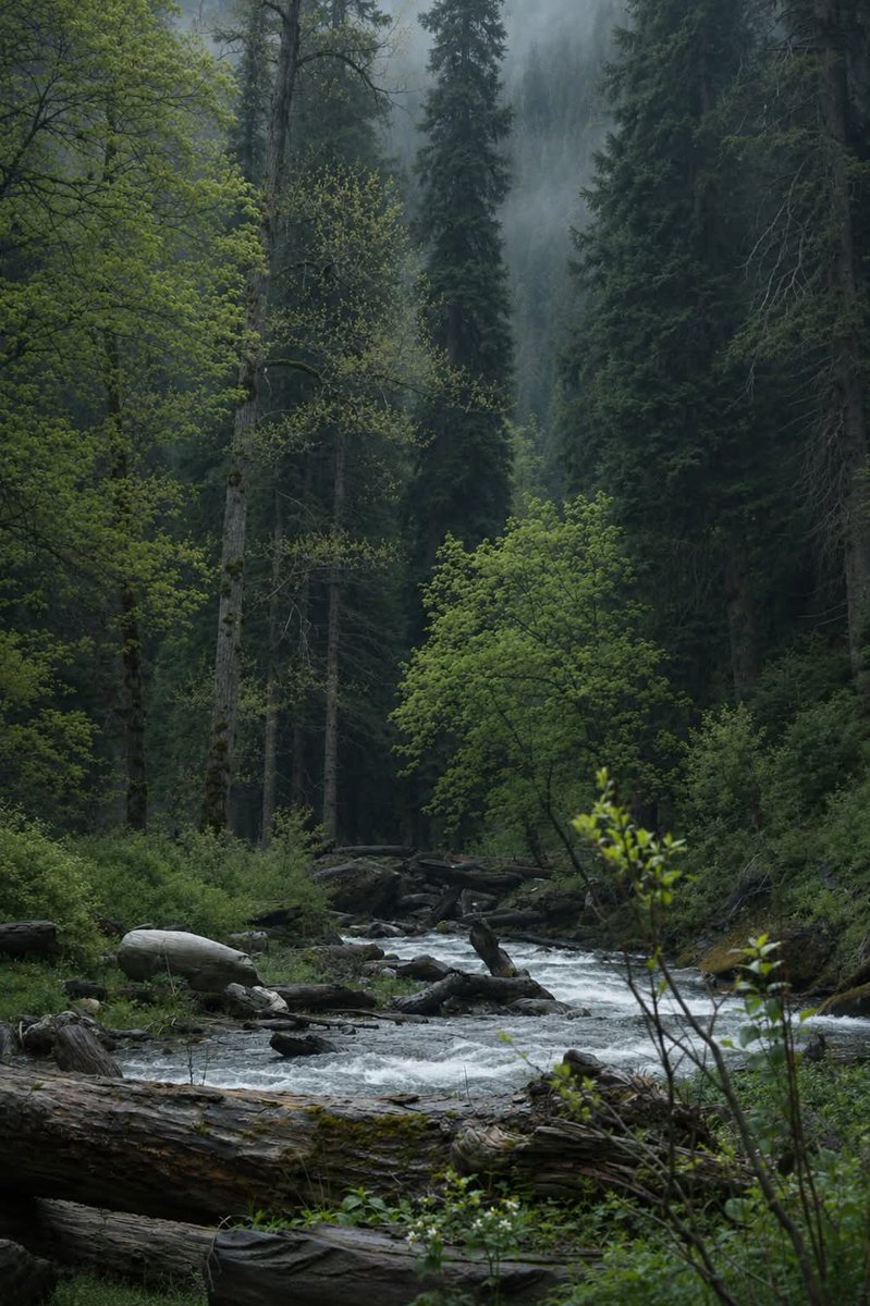 exploreimran's tweet photo. Sometimes, sitting close to nature and looking at it, your heart finds a peace that nothing in the world can give... 😊 https://t.co/IIBjPSn0w5