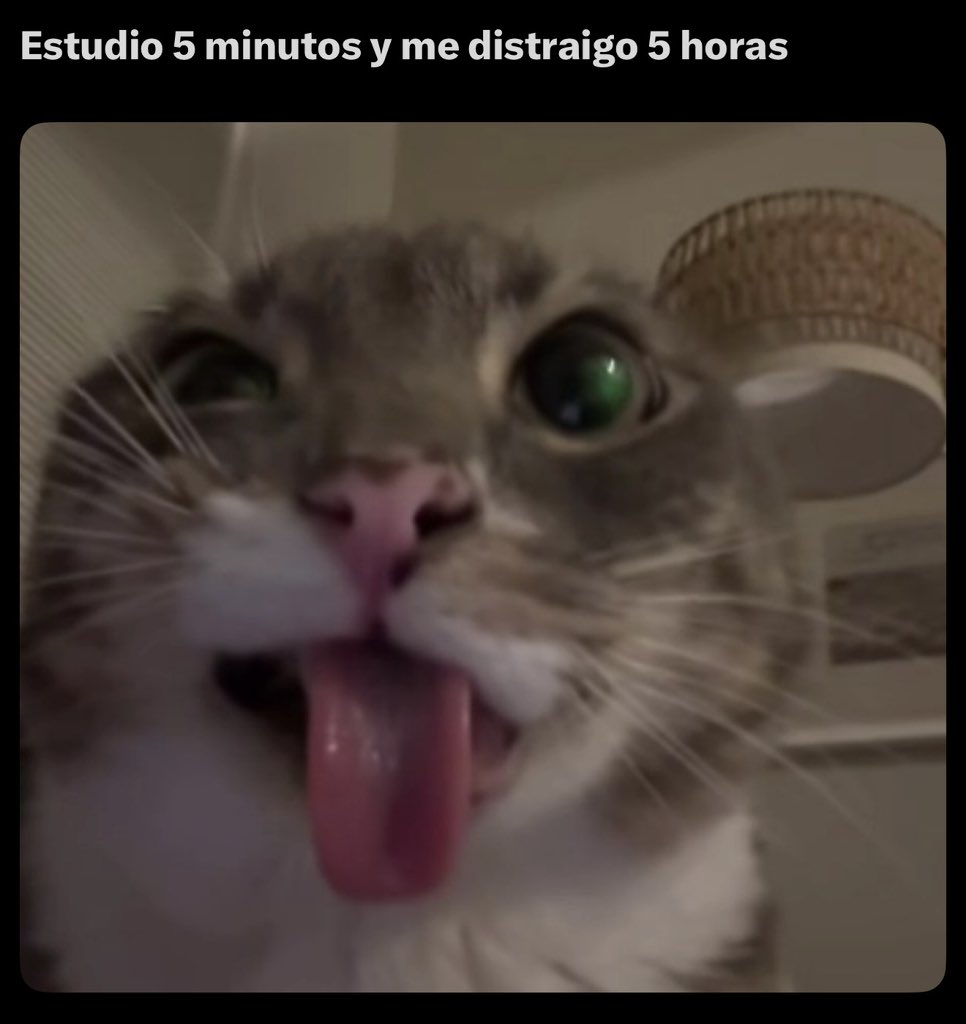 notafaso's tweet photo. https://t.co/fIESYLuPQ4