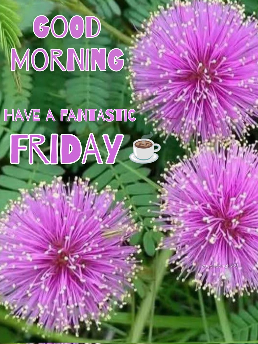 Seemasingh999's tweet photo. Good morning my X friends 🌞☕ #daily #morning #friend #trend #friday https://t.co/Fzedl3apPh