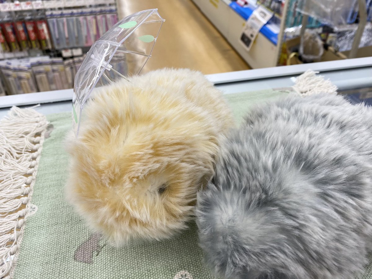 ikejimu's tweet photo. なごみさんが動き過ぎてNGになった1枚 https://t.co/jAjDpqKsbG