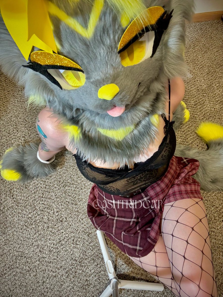 Ashtrid Cat tweet media