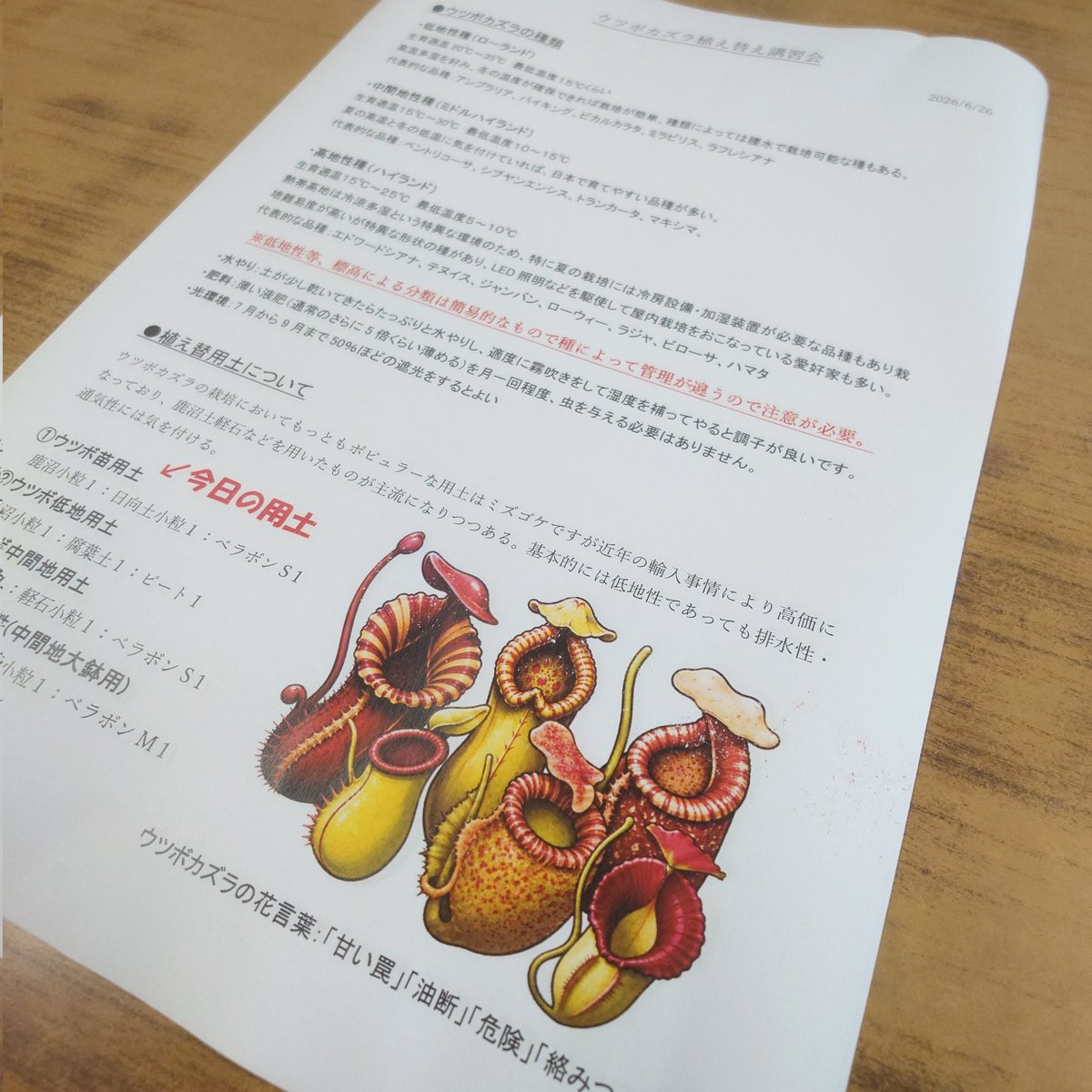 sotafarm's tweet photo. 今日はとっとり花回廊さん来園でウツボカズラの植え替え講習会なのでレジュメ作成しました(^_^;) https://t.co/IhrEkHSm1x