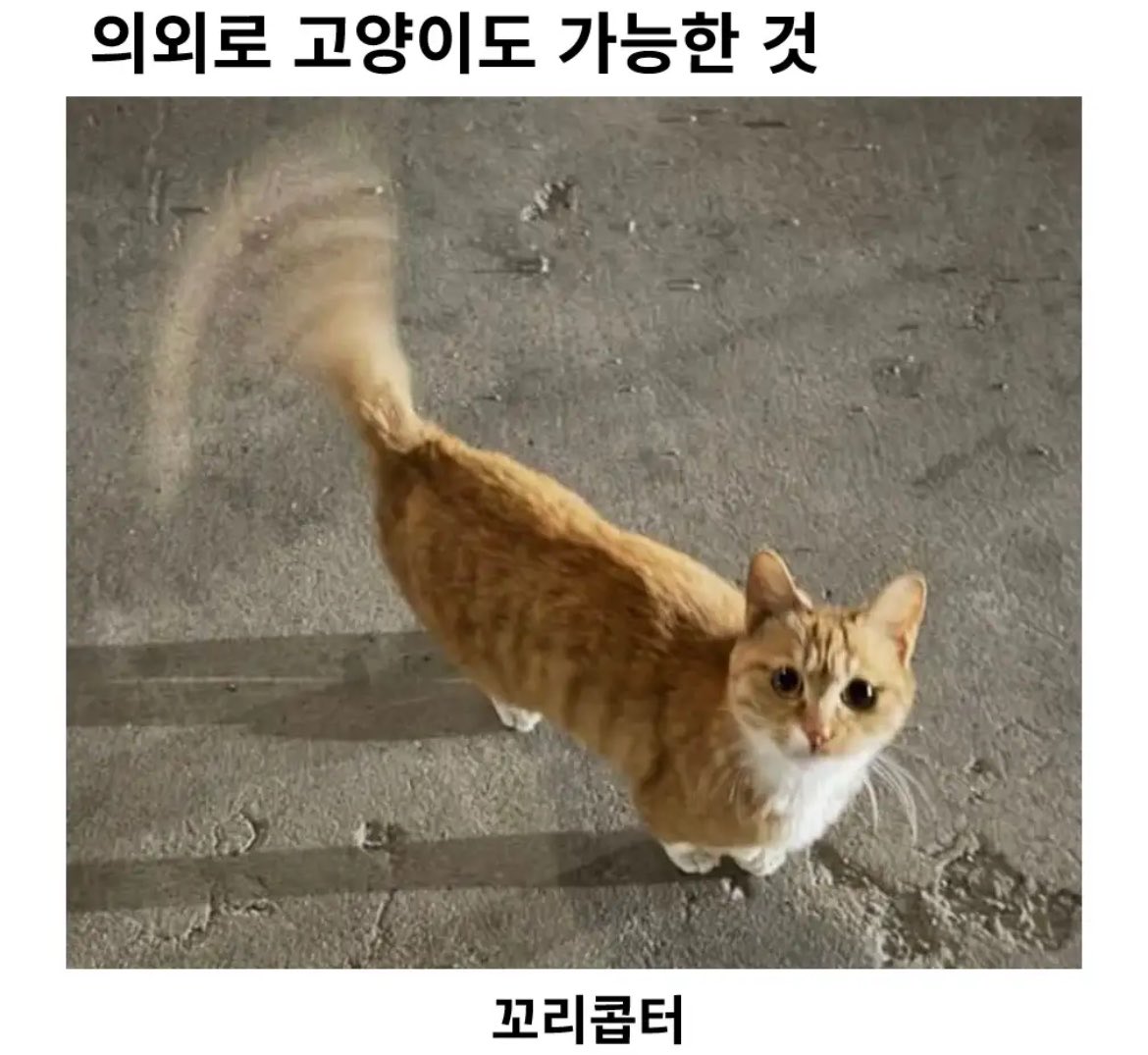 윤(yun) tweet media