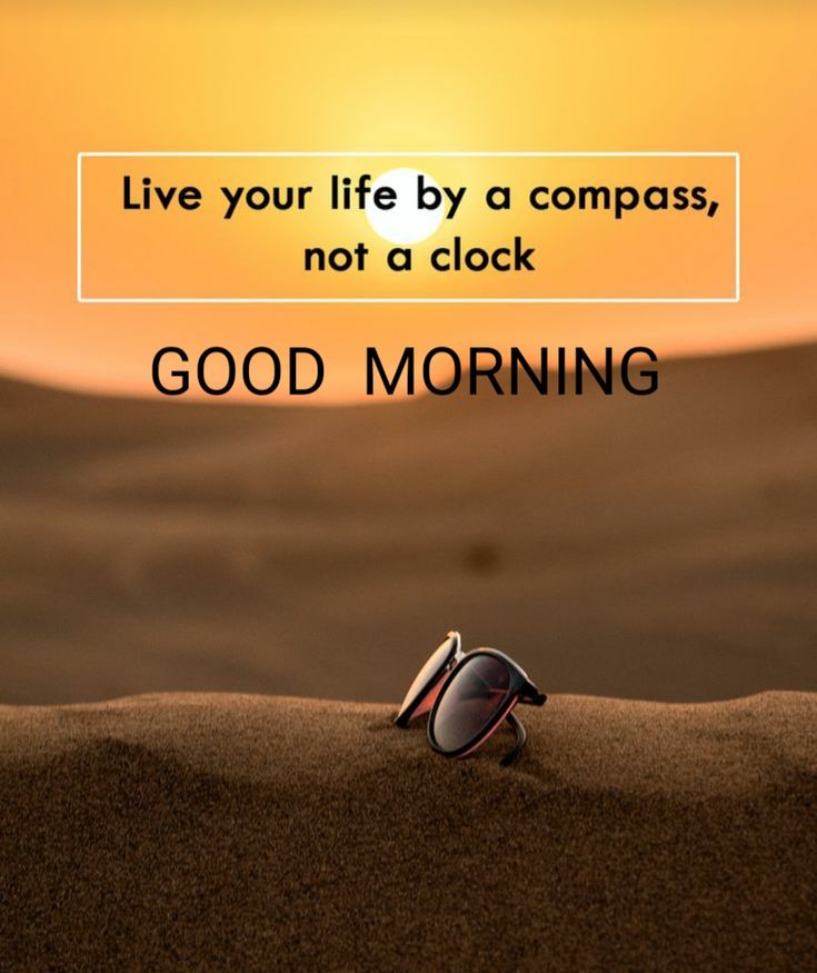 WariaOsman's tweet photo. #good_ #mornlng https://t.co/sPEpERU2mY