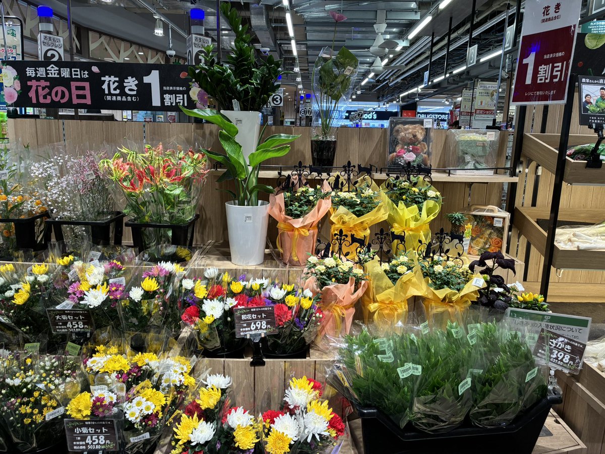 229summit's tweet photo. #毎週恒例の金曜日
#花き1割引

#鉢物 #さかき の入荷もあります🪴

お花で癒される日々をどうぞ💐
金曜日の1割引をお役立てください🈹🌻

#サミット亀有駅北店 https://t.co/jSyo55rAot