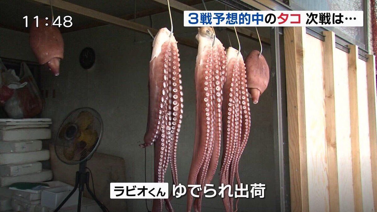 Akikun1124's tweet photo. 鬼畜すぎて草w https://t.co/0EUWBhsHlW