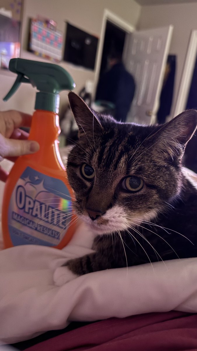bethroessler's tweet photo. If she stops being magical, I now have #opalite to make her magical again!!! https://t.co/XxNqpdPnoP