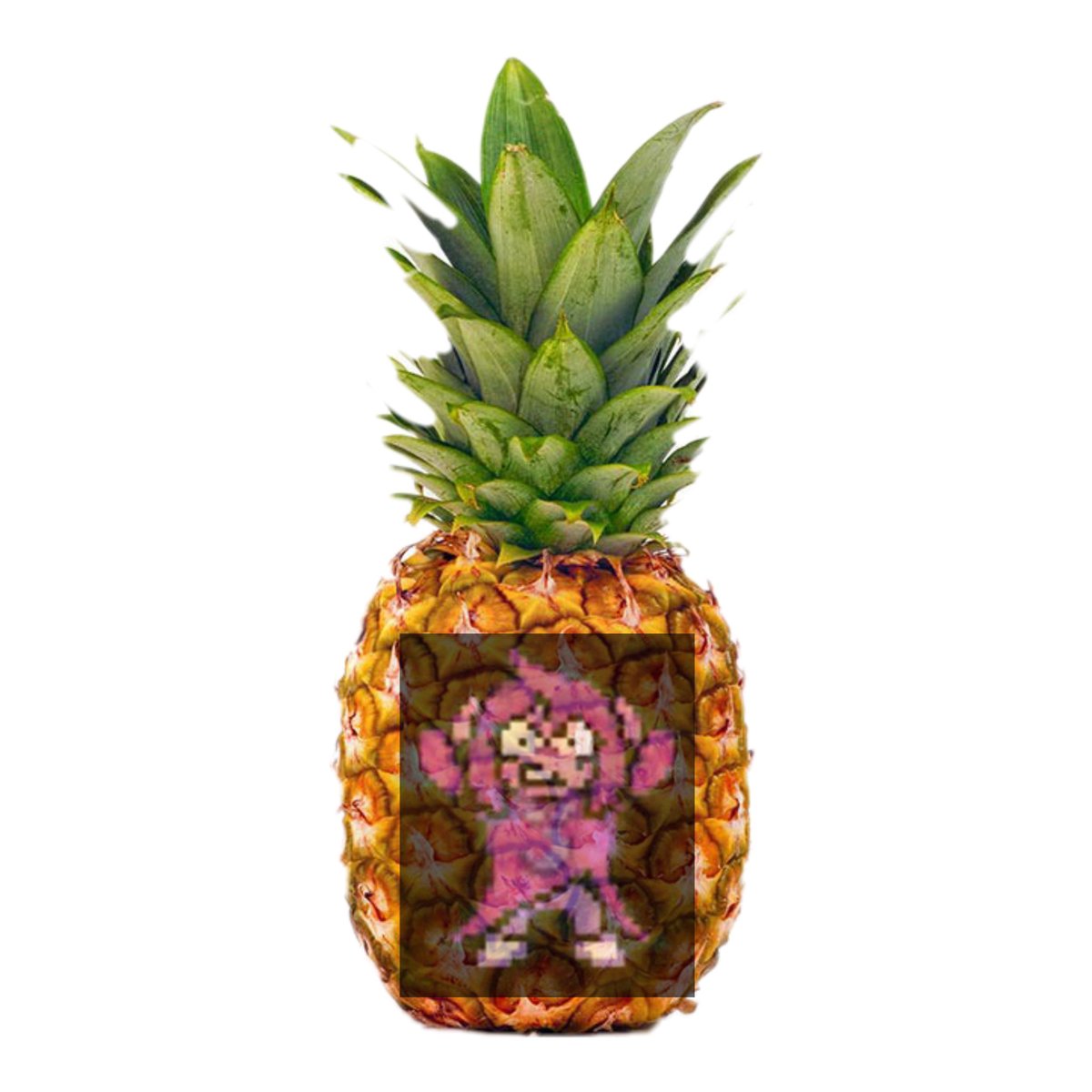 MasonWafflez's tweet photo. #sethtwt Seth pineapple https://t.co/CdBs1sC8eg