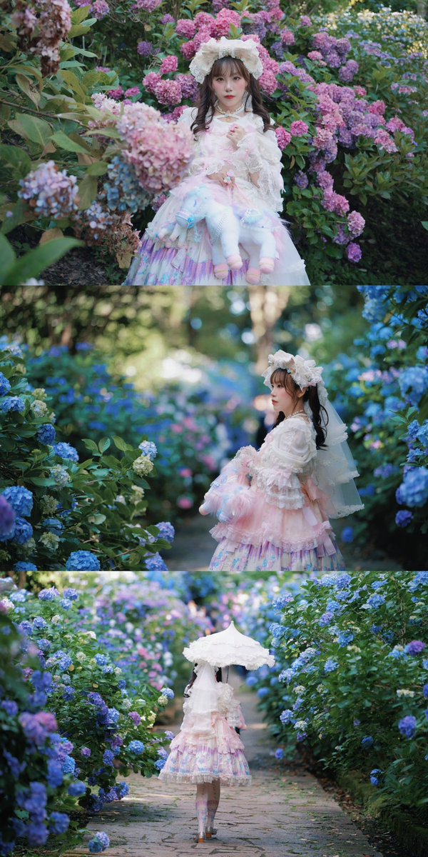 wanwan_lolita's tweet photo. 下田公園あじさい祭り💜🩵
紫陽花が綺麗すぎて癒されました🥹🫶
来年もいきます https://t.co/BZeuuKkedU