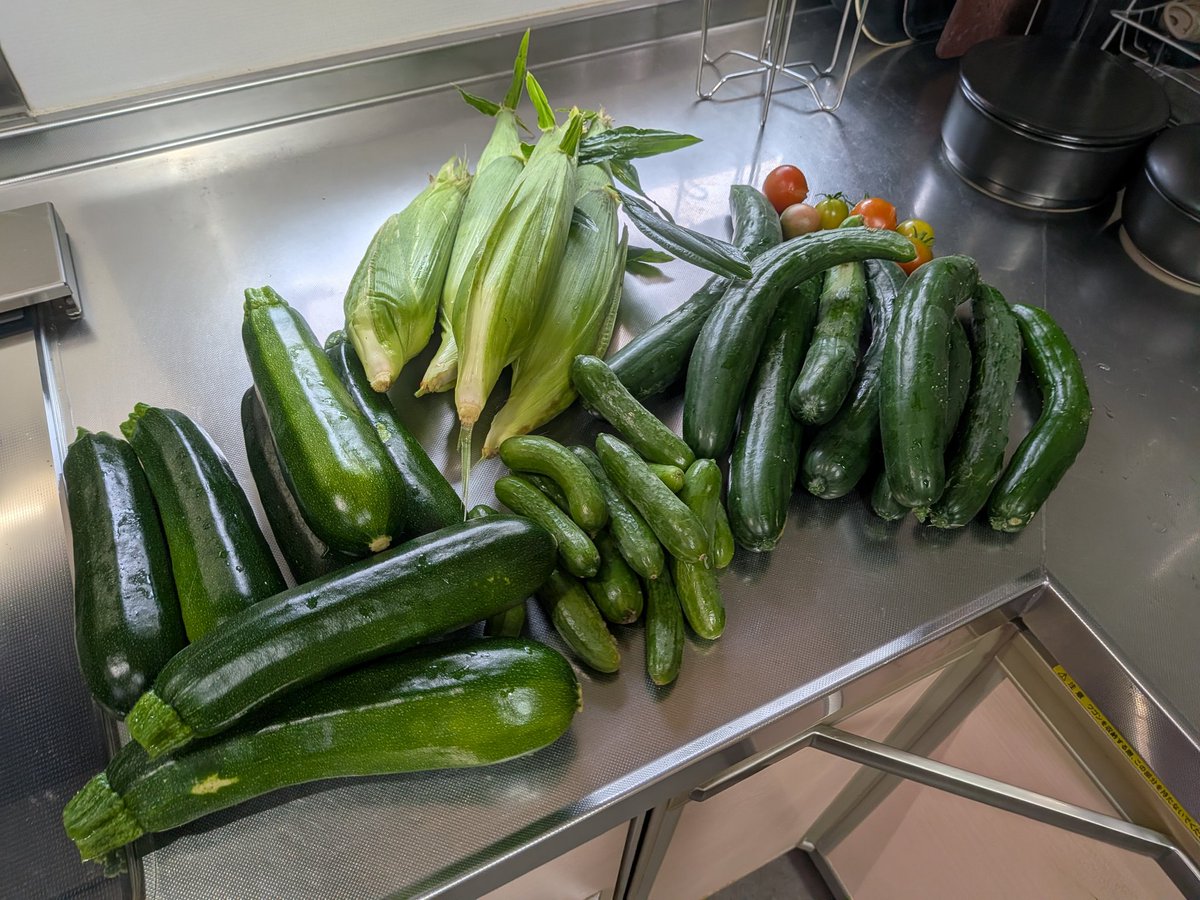 kuma180's tweet photo. 雨の隙間でサッと収穫🥒 https://t.co/xt2p7uH0pC