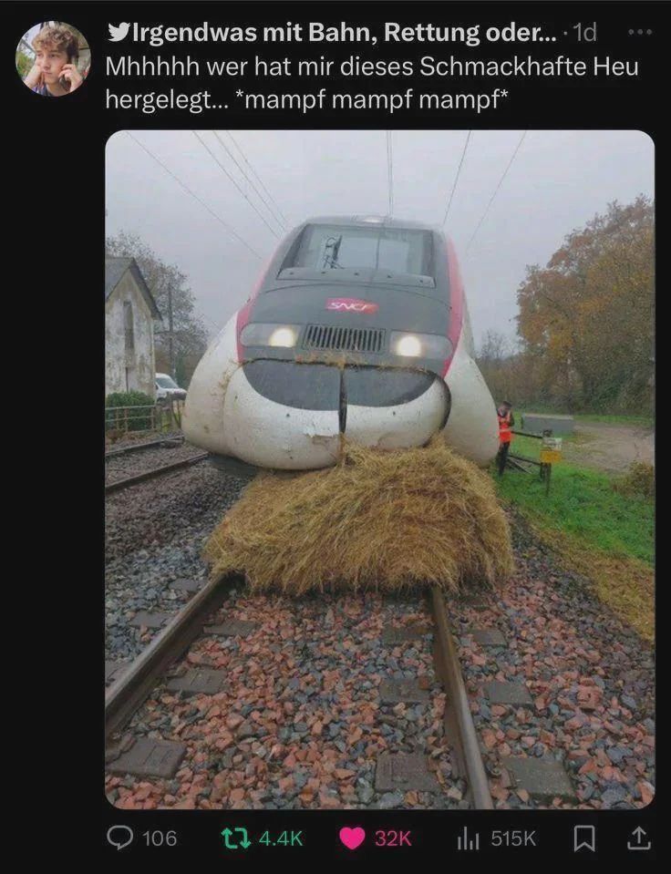 nocontextmemes's tweet photo. https://t.co/aiTHnTQdnl