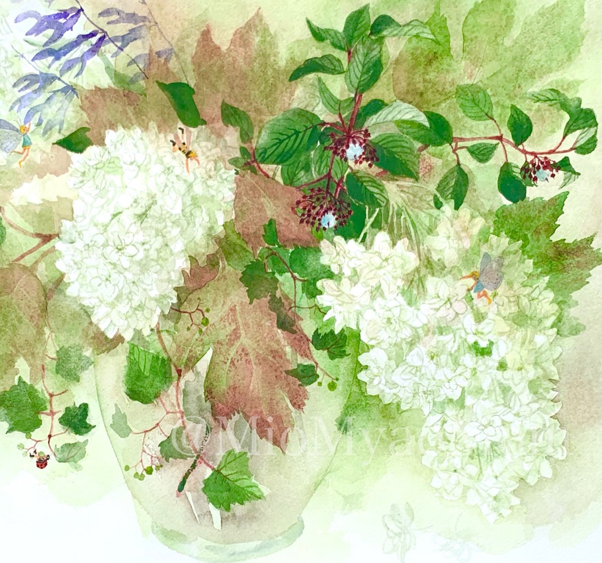 MioMyaoMom's tweet photo. #カシワバアジサイ #サンゴミズキ
#メドウセージ #ノブドウ
#hydrangia #RedTwigDogwood
#WildGrape
#NoWar
6月の庭から… https://t.co/VZlewz5kUy