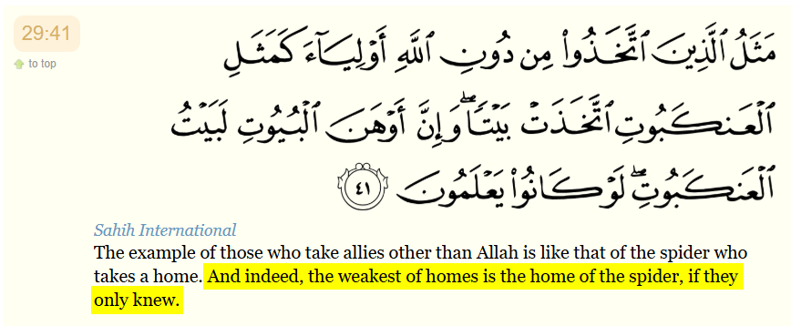 destroysunnis's tweet photo. Now that the "mustard seed dilemma" has been buried and refuted.

Let's flip it on the same illiterate Sunnis who use it.

 Allah is not all-knowing because he said that the spider's "home" is the weakest of homes, right?

Side-note: would be interested to know which spider too😁 https://t.co/N33eCfLipB