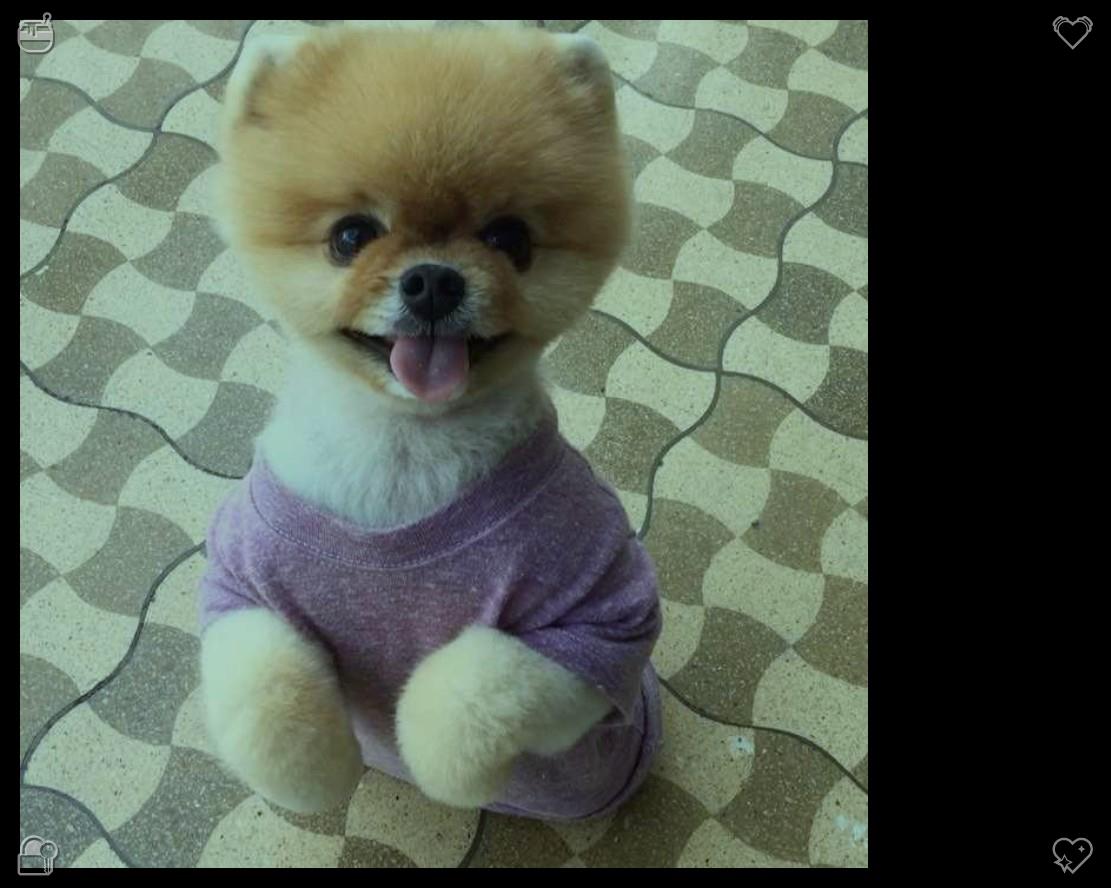 kgobl27's tweet photo. Clara 带着微笑看着他们离开。“刚才真不错。很高兴我们能帮上忙。那只小狗太可爱了——我差点都不想把它还回去了。”🌷衣柜清洁衣架，已整理 https://t.co/kNPrzNRsn6