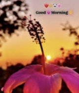 Gracy33637103's tweet photo. @gerdagm Good morning 🌞 happy Friday 💐 https://t.co/fGCXONlpqp