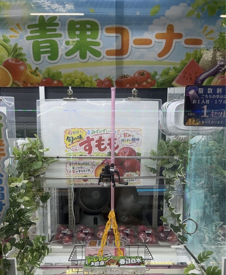 すもも1パック 初登場(⭑•͈ 𓎟 •͈ ) 甘味と程よい酸味がクセになる
