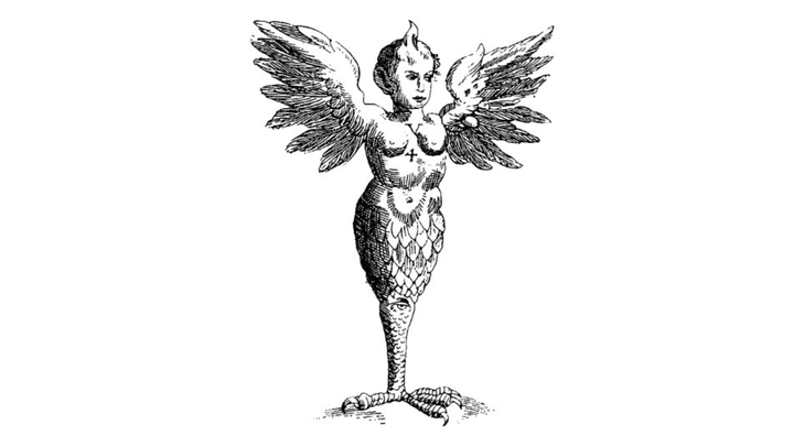 Hayakawashobo's tweet photo. 1511年、イタリアのラヴェンナに怪鳥が現れます。頭に角が一本、生殖器は男女両方、脚は一本、膝にも目がついています。その姿を見た人たちは「変な鳥だな」で終わらず、この怪物は町の崩壊を予告していたのだと本気で考えました。

7/3（金）発売のジョン・アシュトン『奇怪動物百科〔新版〕』（高橋宣勝 訳）には、世界各地で記録された異形の生きものが100体以上載っています。
https://t.co/2o4QPpN7OE