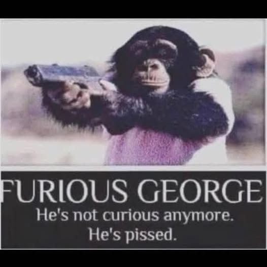 marewho12's tweet photo. George! 😂😂😂😂😂😂😂😂😂😂😂😂😂😂😂😂😂😂 https://t.co/vKfjgsf6sw