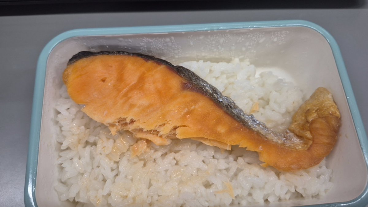sontyo_'s tweet photo. サーモン弁当 https://t.co/088p4vcZt7
