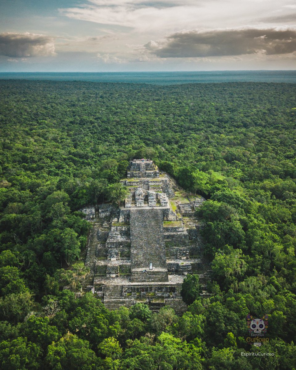 EspirituCurioso's tweet photo. Más de 50 mil personas pudieron vivir en esta ciudad maya, en medio de una selva donde hoy cuesta creer que existiera una de las capitales más poderosas de Mesoamérica.

Calakmul no fue una ciudad cualquiera. Durante siglos fue la gran rival de Tikal, en la actual Guatemala, y ambas protagonizaron una lucha por el poder que cambió el destino del mundo maya. Los arqueólogos incluso llaman a ese periodo una especie de “guerra fría” entre dos superpotencias, porque muchas ciudades terminaron aliándose con una u otra para sobrevivir.

Lo más impresionante es que, a diferencia de otros sitios arqueológicos, Calakmul sigue rodeada por una inmensa selva prácticamente intacta. Desde la cima de sus estructuras no ves hoteles, carreteras ni edificios modernos. Lo único que aparece hasta donde alcanza la vista es un océano verde que ha protegido este lugar durante siglos.

Aquí se han identificado más de 6,000 estructuras, aunque se cree que gran parte de la antigua ciudad permanece oculta bajo la vegetación. Cada temporada de investigación aparecen nuevos hallazgos que ayudan a entender cómo una ciudad de este tamaño logró prosperar sin ríos permanentes, almacenando el agua de lluvia en enormes depósitos construidos por los propios mayas.

No es casualidad que la antigua ciudad y la Reserva de la Biosfera de Calakmul formen parte del Patrimonio Mundial de la UNESCO por su extraordinario valor cultural y natural. Es uno de los pocos lugares del planeta donde una gran civilización antigua y una de las selvas mejor conservadas de América siguen compartiendo el mismo espacio.

Si pudieras viajar al pasado y recorrer una sola ciudad maya en su momento de mayor esplendor, ¿elegirías Calakmul o preferirías conocer otra?