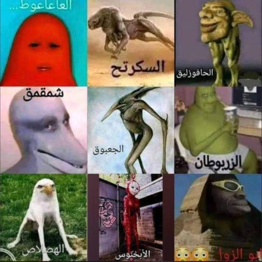 فراس tweet media