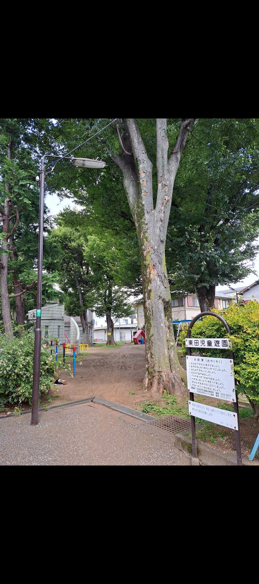 TOB05589068's tweet photo. これまじか！阿佐ヶ谷の公園での「まりなげ」もオーケーになったの！？ https://t.co/ljDachGdMR