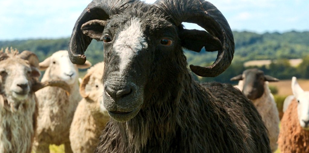 FlicksandChill's tweet photo. Sebastian. 💖 My favorite from the movie.

Some souls don't become gentle because life was kind to them. They become gentle because they know what cruelty feels like.

That final shot of him as a cloud watching over the flock was beautiful beyond words. 

#TheSheepDetectives https://t.co/hvkzQmSXnr