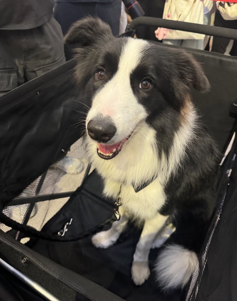 ice_eepp's tweet photo. หน้าเต้าหู้ขาวด่าไม่ยั้ง https://t.co/1U8ydxzfGp