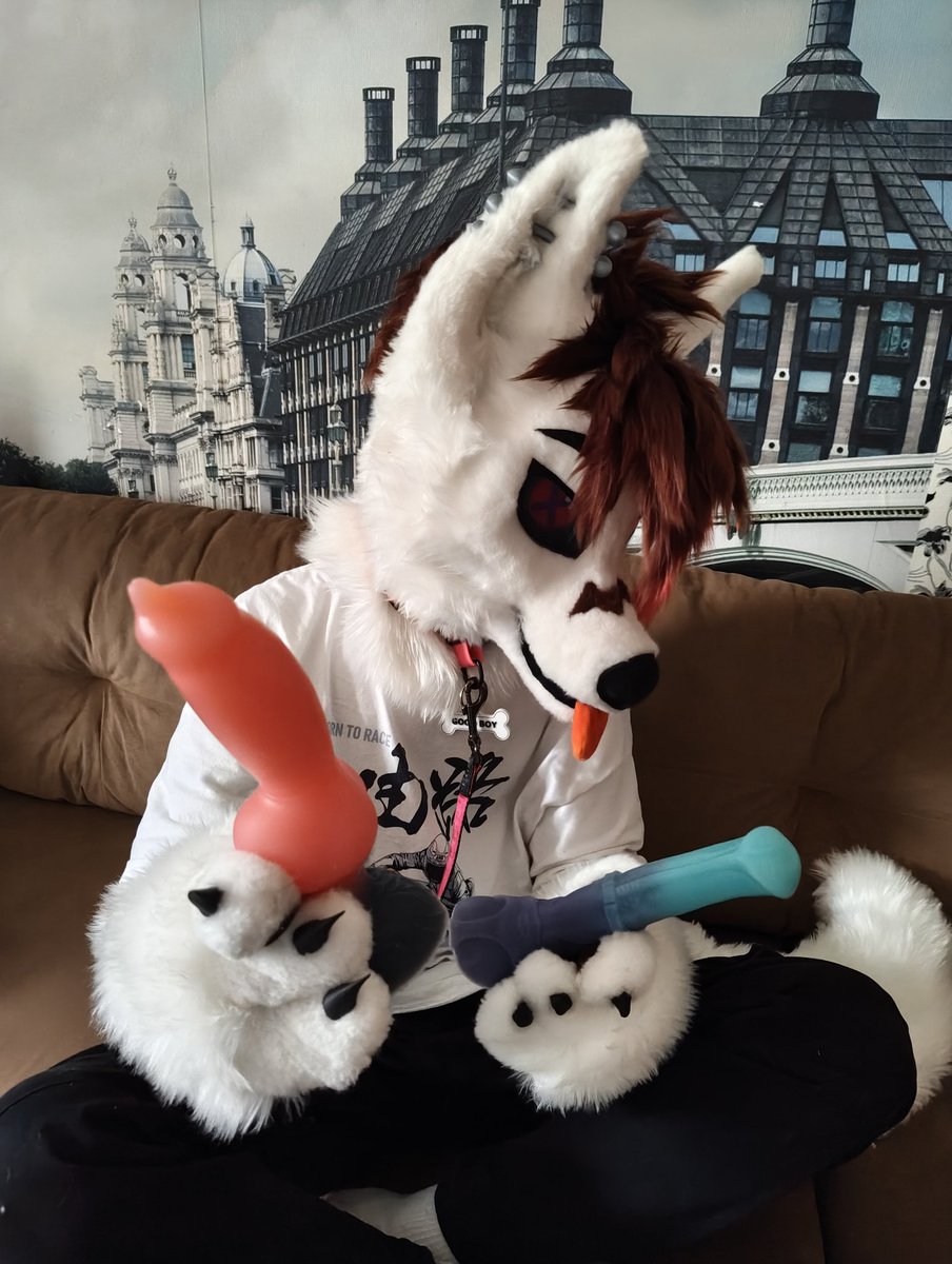 SanyPup's tweet photo. WHAT WILL YOU CHOOSE? https://t.co/3lqt45oHCk
