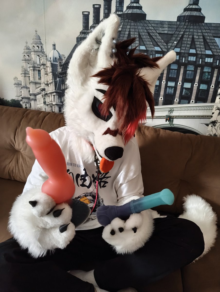 SanyPup's tweet photo. WHAT WILL YOU CHOOSE? https://t.co/3lqt45oHCk