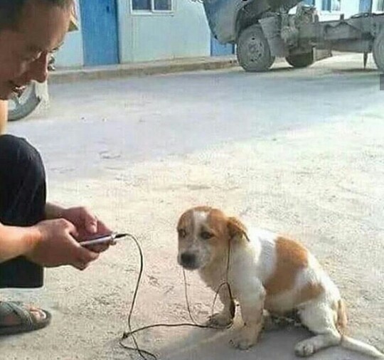 LSSimm's tweet photo. Ces tão tudo maluco de ter achado isso bom https://t.co/m0Vj4Waj7H