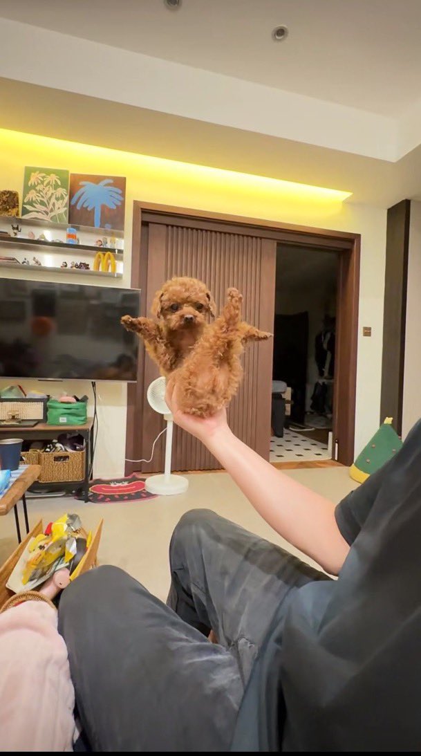 animalkyat's tweet photo. 実家の兄に「犬元気してる？」ってラインしたら送られてきた写真見てw https://t.co/48DuNEAv6L
