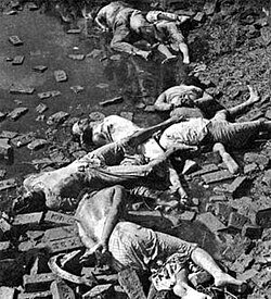 skaul91's tweet photo. @anon_muslimin1 @sheshappanna Allah (satan) didn't save your ancestors kanglu, we did. https://t.co/p6J8mFfV5Q