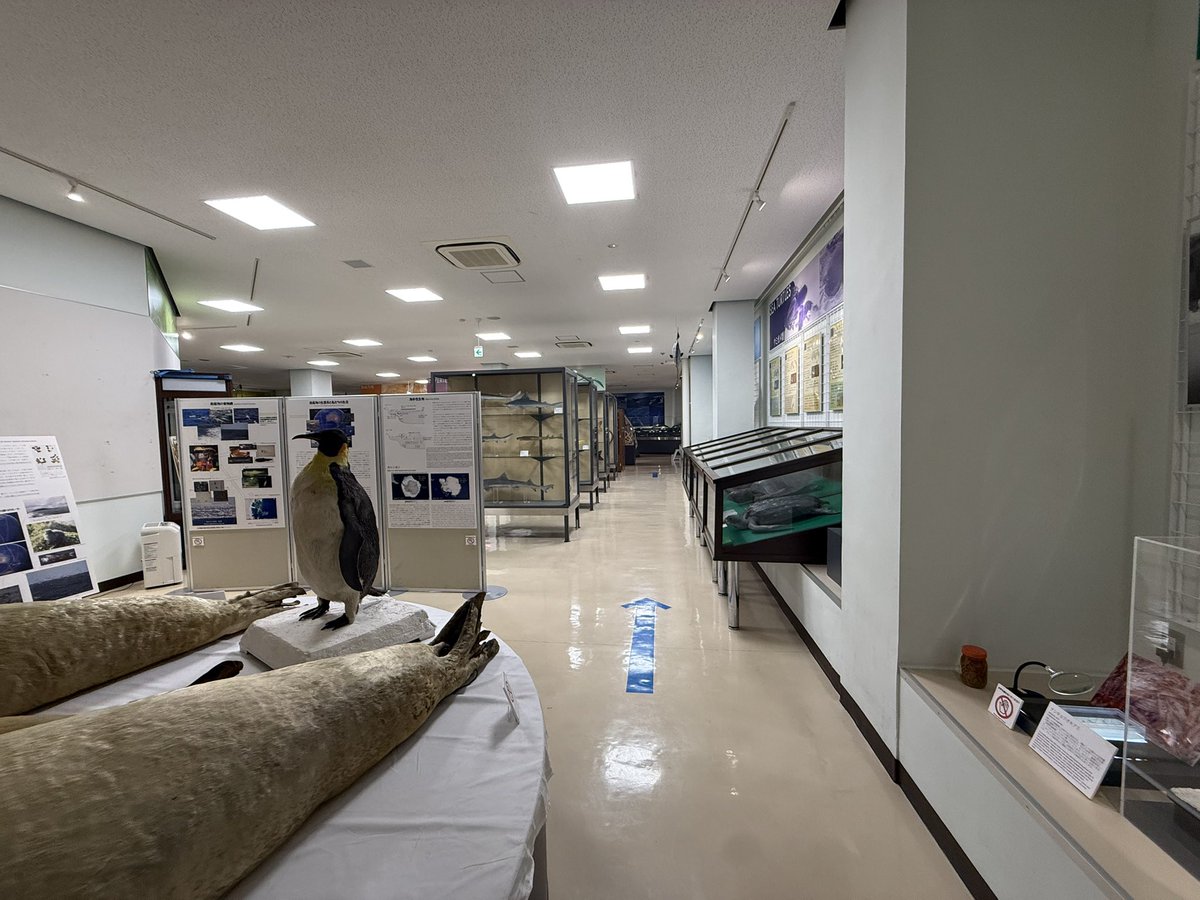 oritech tweet picture
