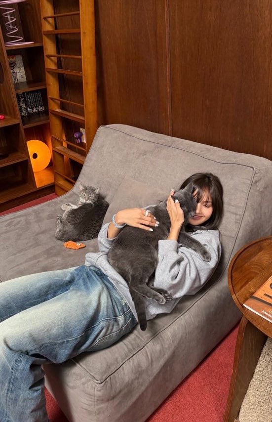 yk2aii's tweet photo. Lisa visited Little Lions Social Club in Los Angeles, USA 🇺🇸 a modern tea-inspired spot that combines a cozy cat lounge with a creative community space. 🐱 https://t.co/u0ApxmtATy
