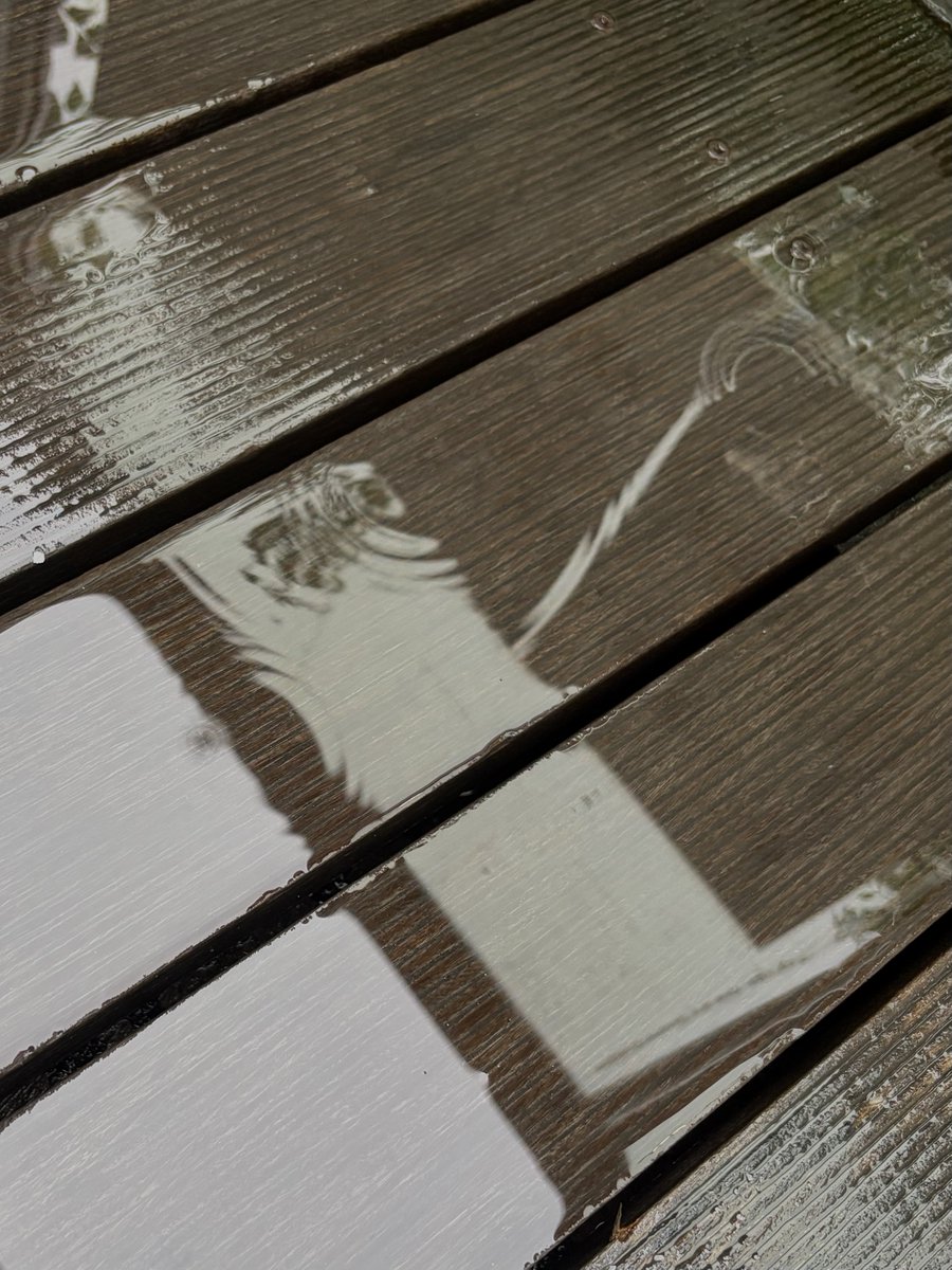 mirai_mitte's tweet photo. #福岡県 #薬院 は雨☔

水たまりに雨粒が落ちると、丸い模様が広がっているのを見つけたよ👀

この模様は「#波紋」といって、雨粒が水面を押した揺れが、四方八方へ同じように広がることでできるんだって🌧

雨の日だからこそ見られる、#自然 のふしぎだね✨

#企業公式が毎朝地元の天気を言い合う https://t.co/F1OJNo6LOq