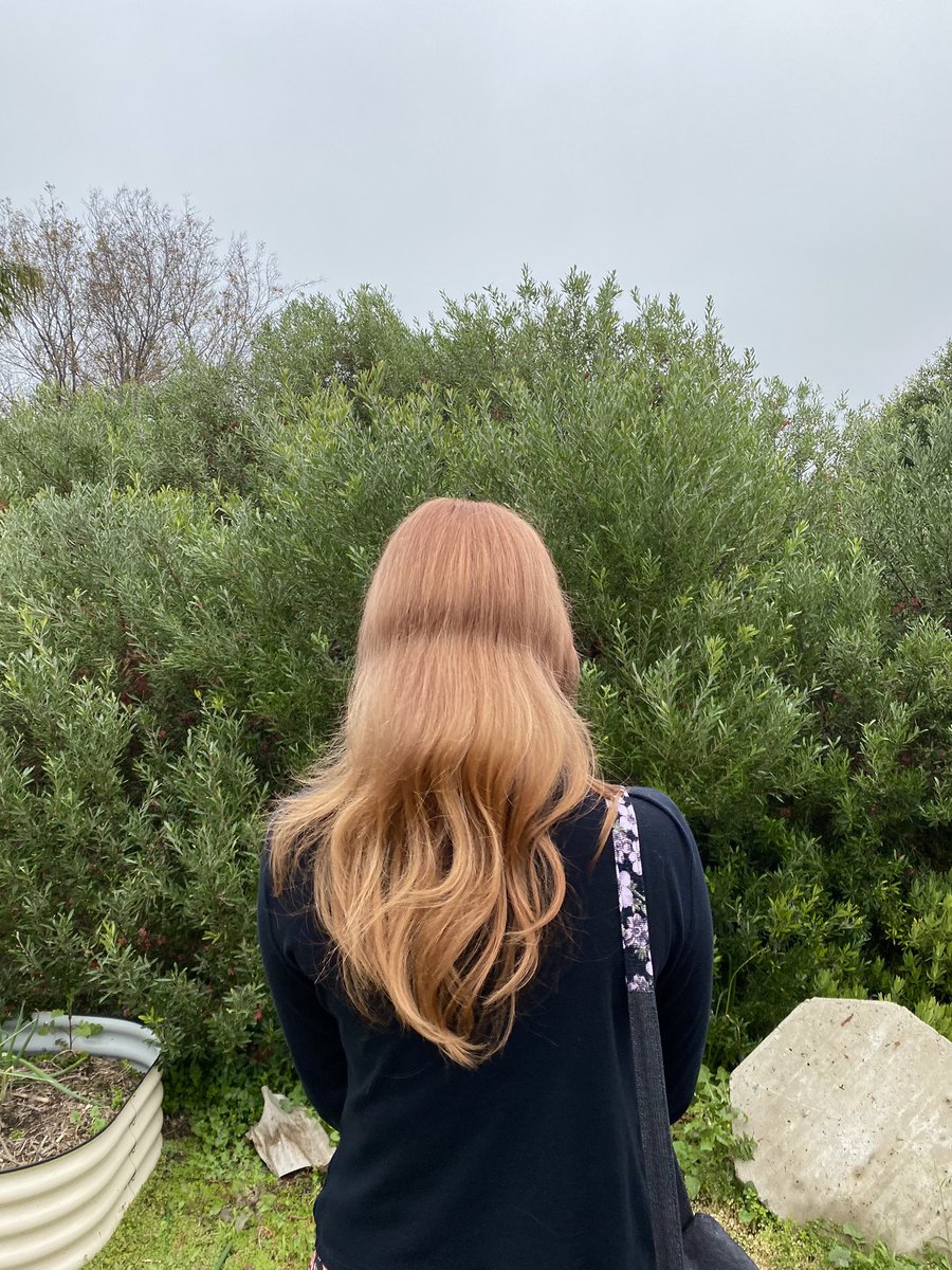 fae ༊ ₊˚ ⊹ tweet media