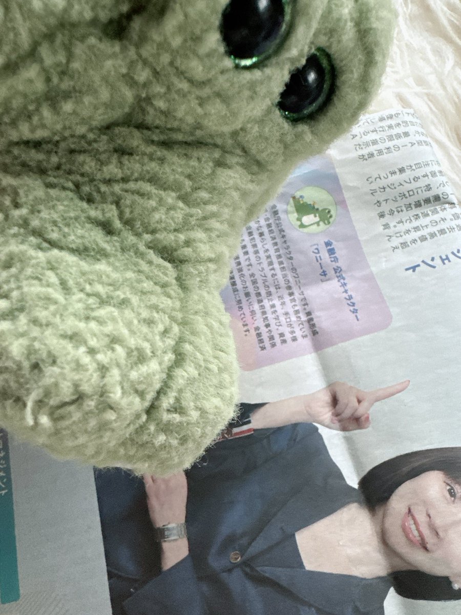 SLAVAvita's tweet photo. うちのワーリーくん🐊💦

金融庁のワニーサくん🐊
を今朝📰で知って
ただならぬライバル心を燃やしている🔥 https://t.co/AhvMb0xDRH