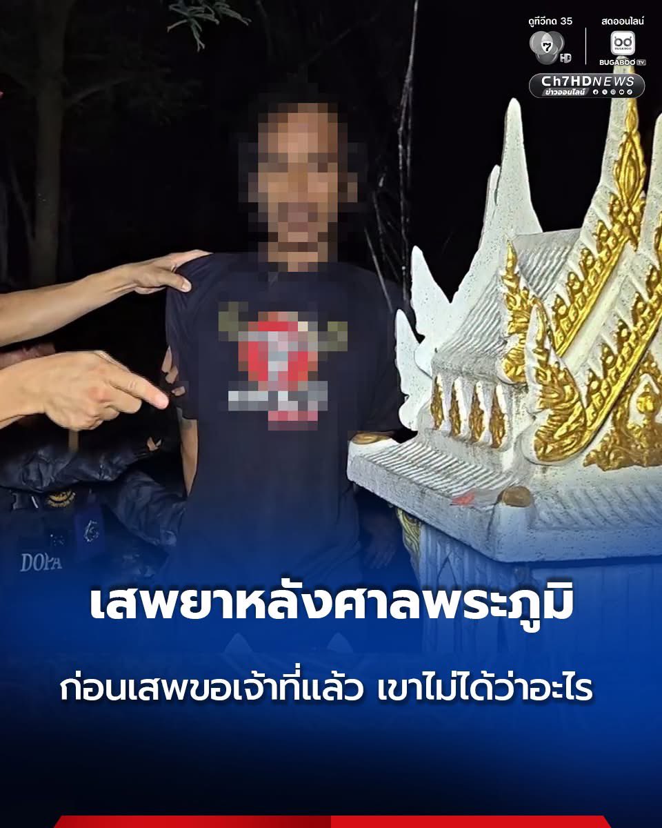 ช่างแม่ง🐰🏳️‍🌈 tweet media