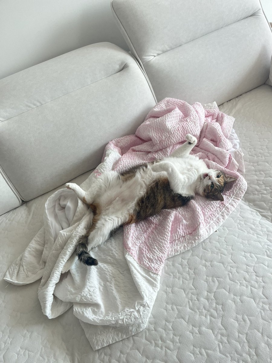 2pepperdiary tweet picture
