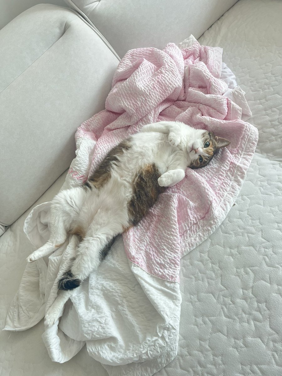 2pepperdiary tweet picture