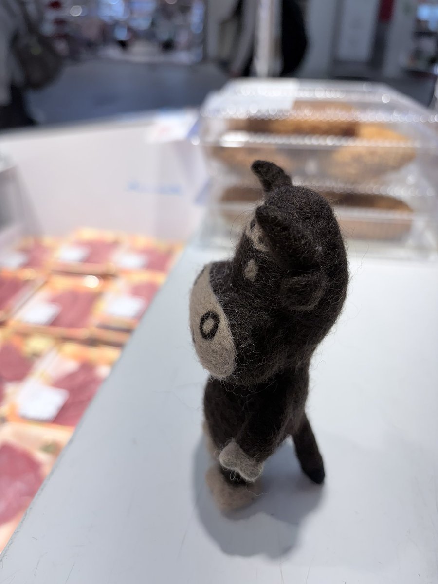 ueda0298's tweet photo. 怒涛のワンオペタイム＼( 'ω')／ｳｵｵｵｵｵｱｱｱｰｰｰｯ！
一所懸命売りこむモ〜♪
「いらっしゃいませ〜♪」 https://t.co/v6UQjRpiIc