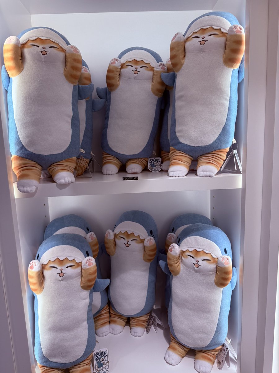 SKY52666950's tweet photo. 今日から内装をリニューアルオープンした
mofusand TOKYO 「BOARD SHASK !」
サメにゃんの新商品がずらりと並びサメにゃん好きとしてはとても幸せな空間でした。
壁にはぢゅのさんの絵とサインが描かれているので来店される方は是非探してみてください🐈✨✨✨

久々の投稿になりました🙇
@mofu_sand https://t.co/EWC2laXGJ8